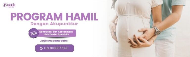 Program Kehamilan
