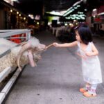 Anak Muntah Saat Makan: Penyebab Oral dan Sensorik